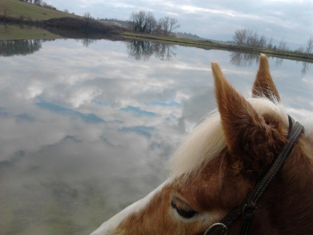 Il nostro lago